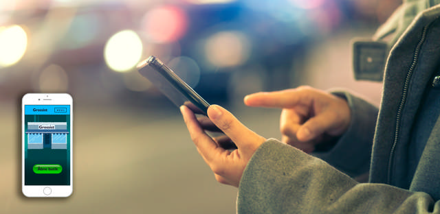 In-House programvaruutveckling